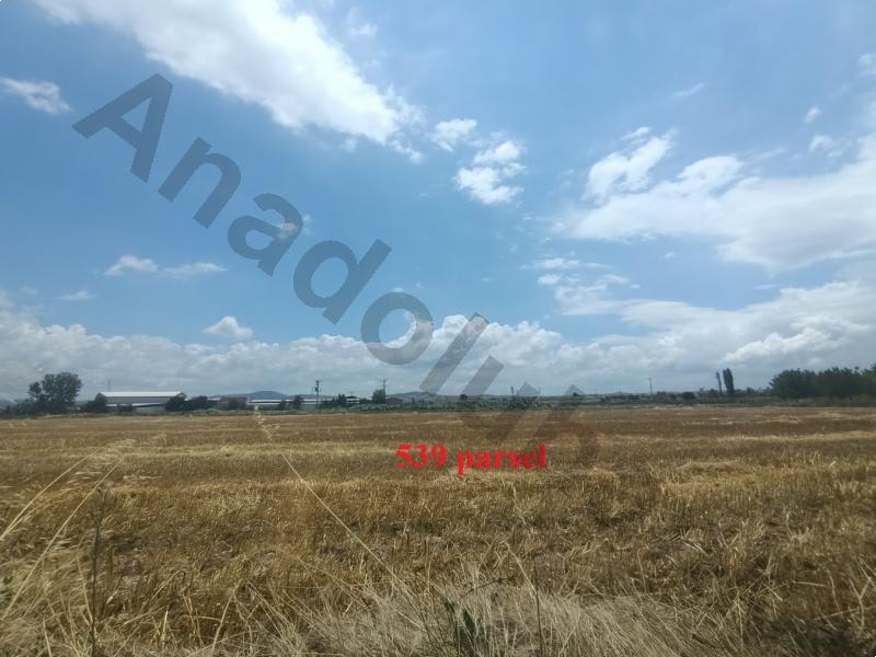 Satılık Tarla