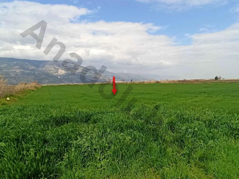 Satılık Tarla