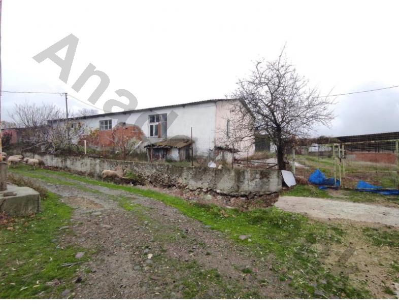 Bankadan Satılık Tarla