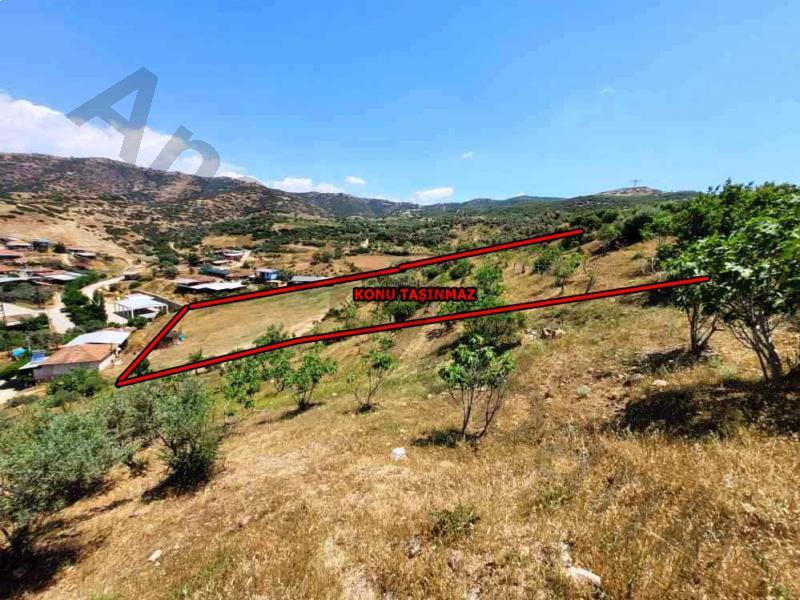 Bankadan Satılık Tarla